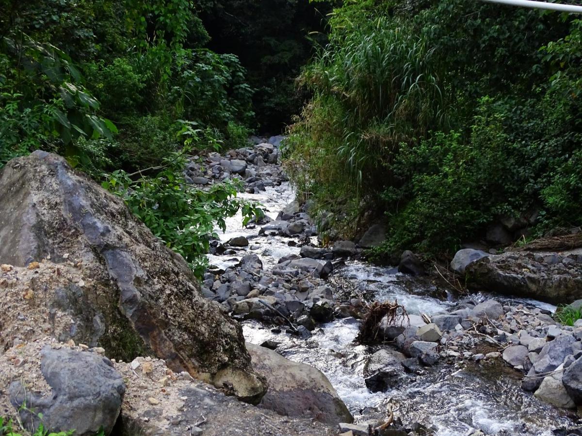Miztli Lodge & Adventure Monteverde 외부 사진