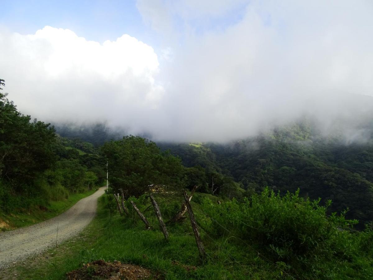 Miztli Lodge & Adventure Monteverde 외부 사진