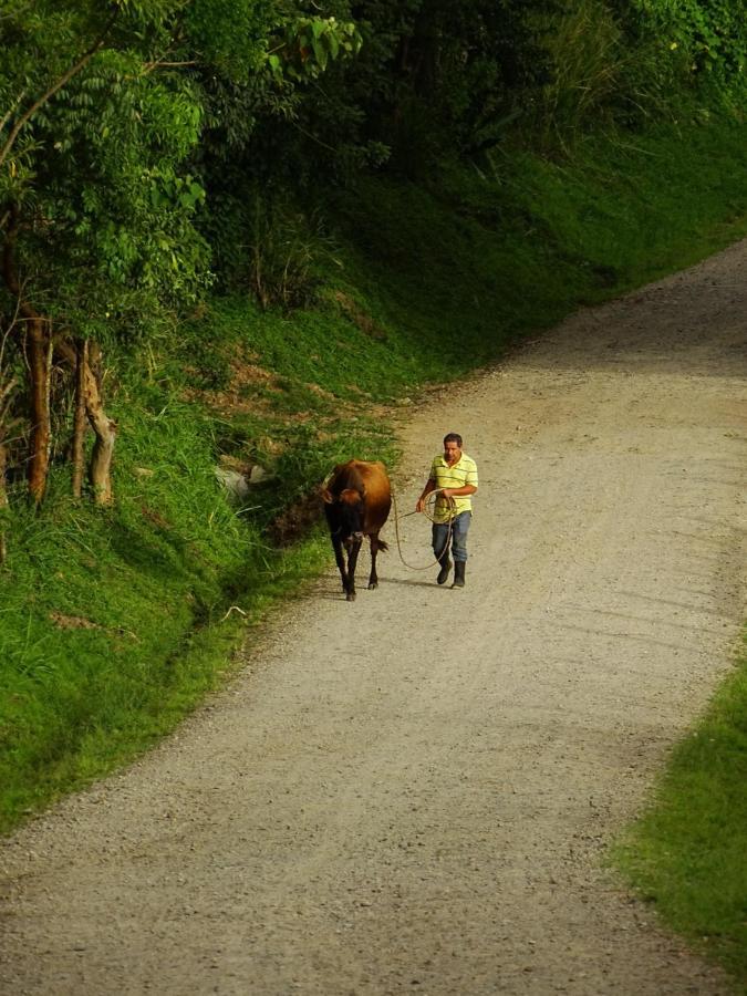 Miztli Lodge & Adventure Monteverde 외부 사진