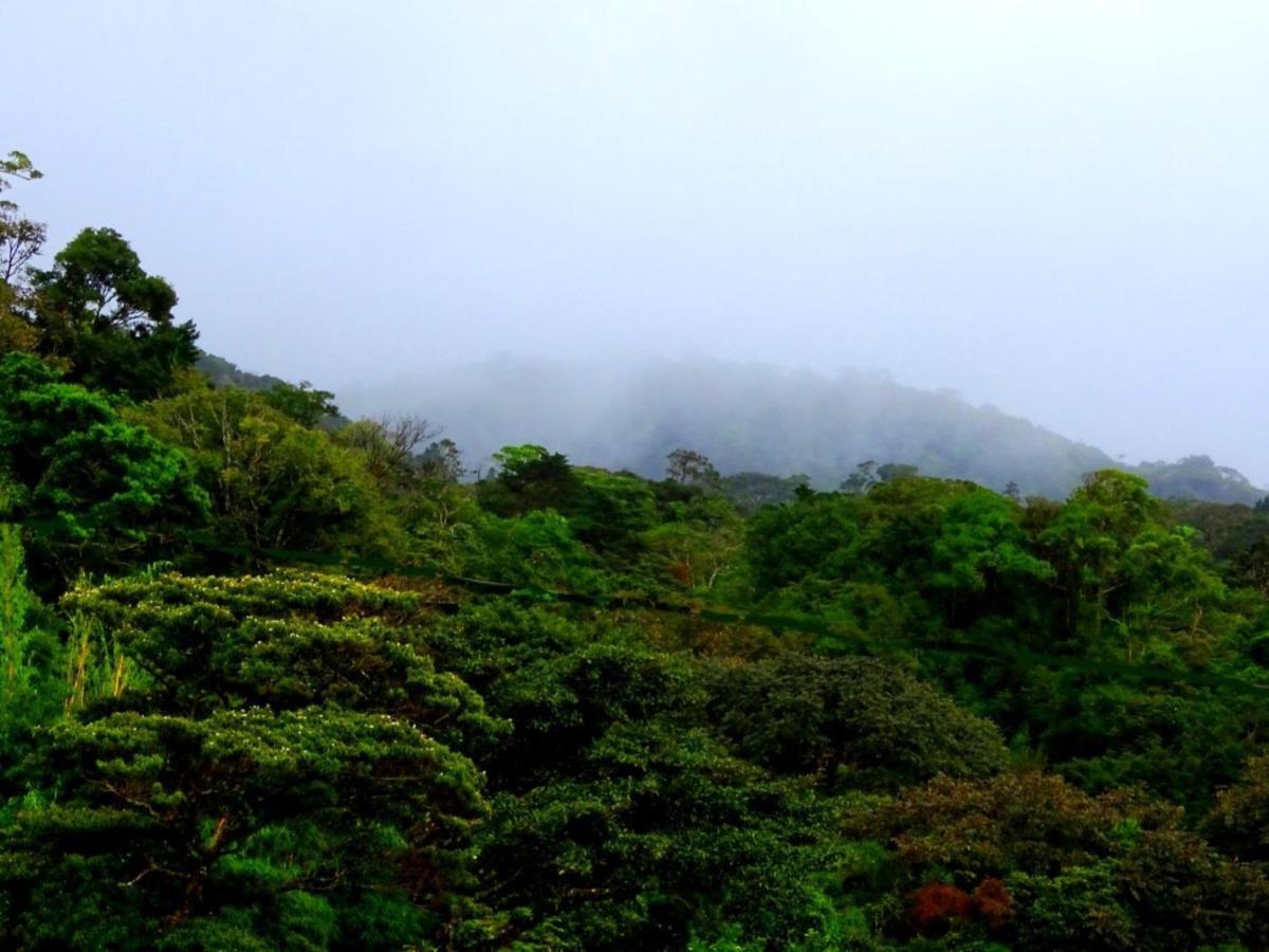 Miztli Lodge & Adventure Monteverde 외부 사진