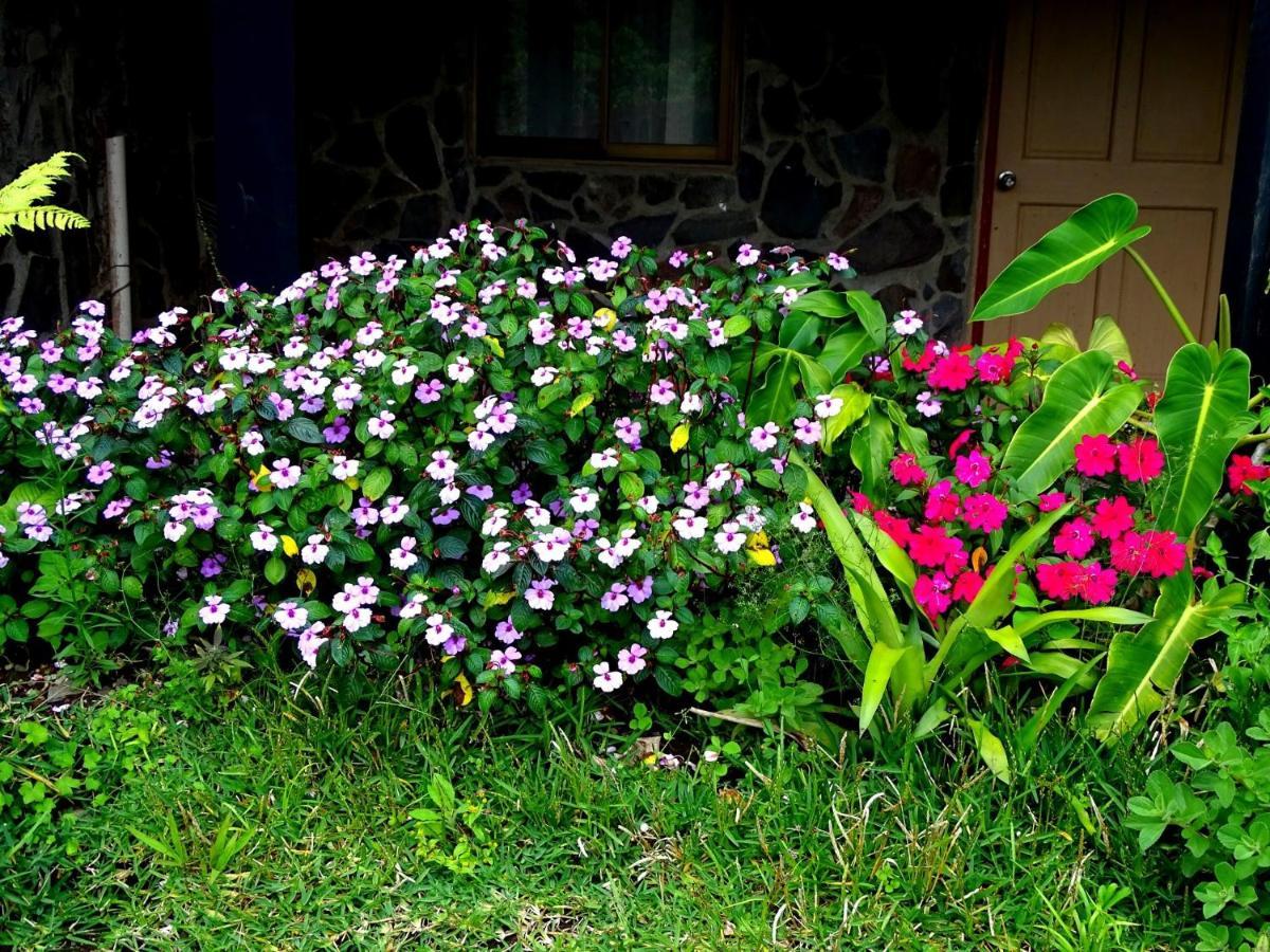 Miztli Lodge & Adventure Monteverde 외부 사진