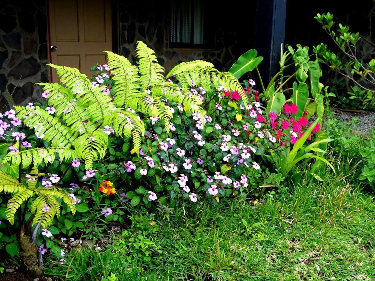 Miztli Lodge & Adventure Monteverde 외부 사진